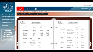 The Virtual Minute Book - A Walk Through