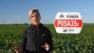 Nouveauté 05 - P05A35X