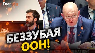 РФ зв'язала ООН по руках і ногах, цих бюрократів пора розігнати! Думка Залмаева