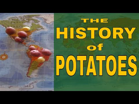 The History of Potatoes: the origin, the world-wide travel, the subsequent fame. #potatohistory