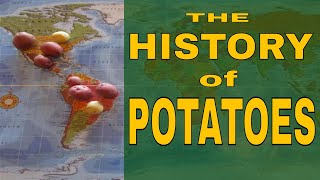 The History of Potatoes: the origin, the world-wide travel, the subsequent fame. #potatohistory