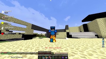 SaicoPvP Hackers #9/#10 (Duckyyyyyyyyy/Moolala) Skeleton