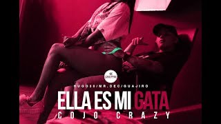 Ella Es Mi Gata - Cojo Crazy (Palma Productions)