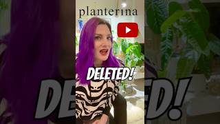 Planterina YouTube Channel Deleted?! What Happened?