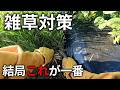 畑の雑草対策を簡単にする方法を教えます！