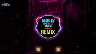 Molly 越南鼓dj (Haozi Remix Tiktok 2026) x Your Body (Houselak 越南鼓卡点舞DJ抖音版) || Hot Tiktok Douyin