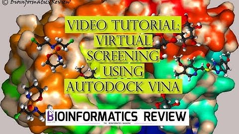 Video Tutorial: Virtual Screening using Autodock Vina