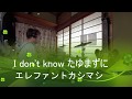 【TD-17KV】ドラム1万時間までの道のり ドラム歴10ヵ月【I don't know たゆまずに/エレファントカシマシ】