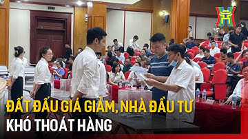 Đất đấu giá giảm, nhà đầu tư khó thoát hàng | Tin tức