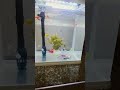 #aquarium #music #work #worklifebalance 🤗