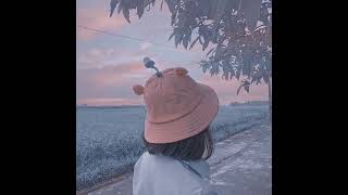 Durdur Ve Çıkanı Duvar Kağıdın Yap Mor Papatya Resimi