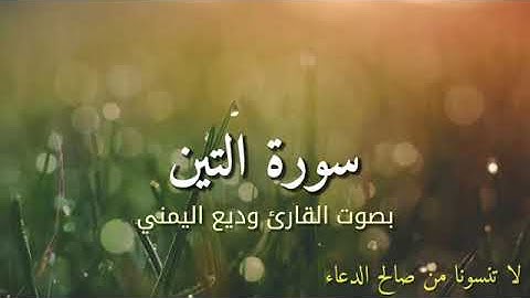 سورة التين بصوت القارئ وديع اليمني