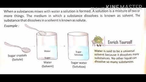 MLZS JHANSI CLASS 5 EVS Chapter 18 Experimenting with Water Lecture 1