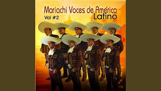 Video thumbnail of "Mariachi Voces de América - Dulce Hogar"