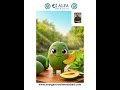 Alfa Gastro and Liver Care | Summer food