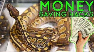 TOP 10 Reptile Expo Tips ‐ SAVE TIME & MONEY Buying Tarantulas!