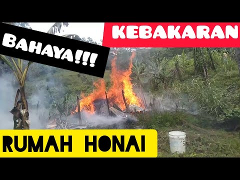 Video: Kebakaran Di Afrika Tengah Lebih Buruk Daripada Kebakaran Di Amazon