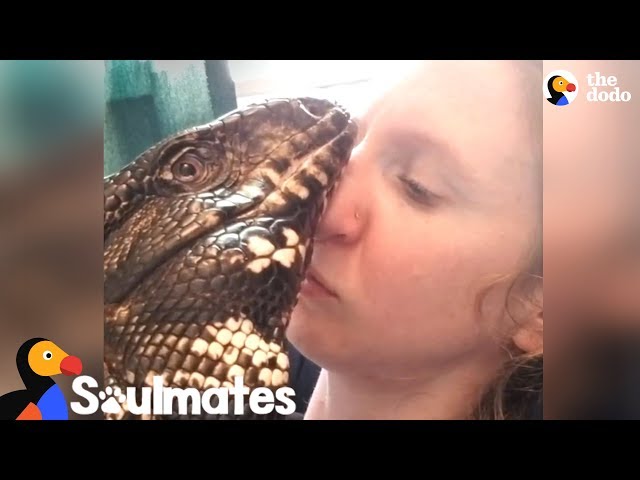 Giant Lizard And Mom Have The Sweetest Bond | The Dodo Soulmates