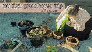 SPRING DITL of a MENNONITE MOM | Greenhouse trip, planting flowers, and more!