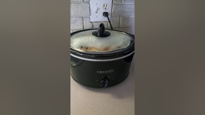 My slow cooker lunch warmer got a lot of questions about what types of food  it can heat up. Here it is in all its glory reheating last nights wings.  The sky