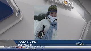 Today's Pet for Jan. 25, 2016