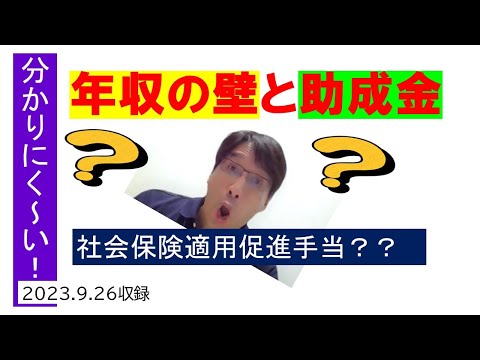 Teaser_ 年収の壁と助成金【HIKARIチャンネル189】１分間ショート動画_本編は近日公開予定です！