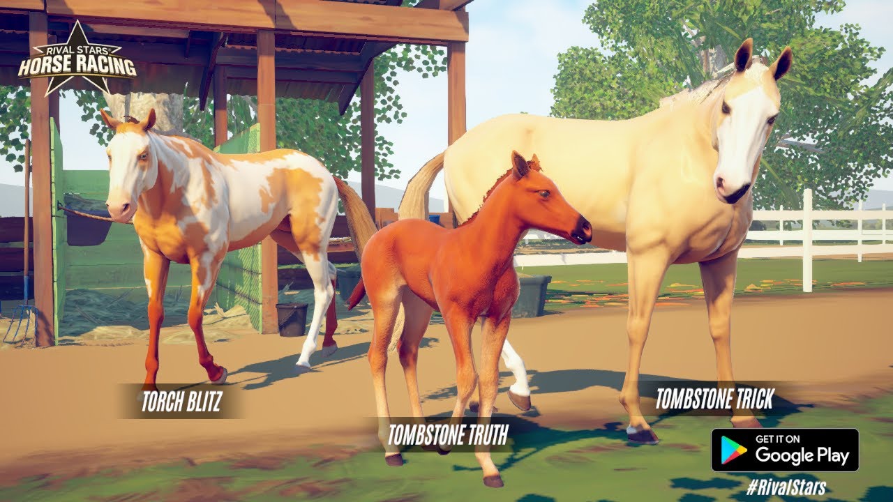 rival stars horse racing foals rival stars horse racing foals