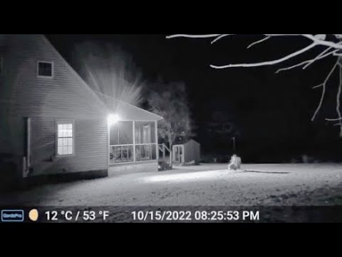 THIS IS THE MOST ALARMING FOOTAGE EVER CAPTURED ON A RING CAM!!