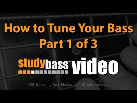 how-to-tune-a-bass-pt-1-of-3-|-studybass