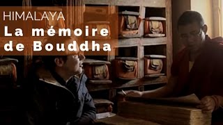 Himalaya - le monastère de Thiksay - #fautpasrever