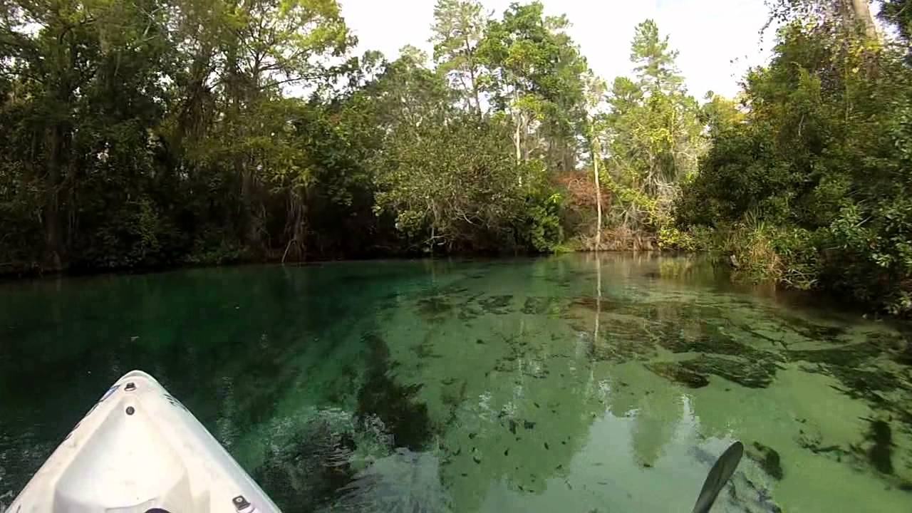 WEEKI WACHEE RIVER YouTube