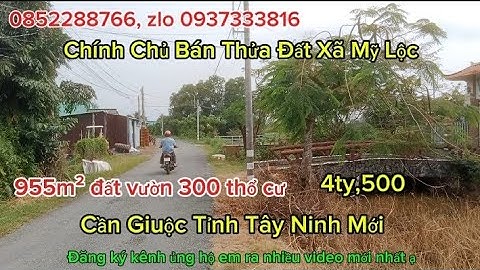 Ms546 Thửa đất thích hợp cất nhà vườn nghĩ dưỡng an cư lâu dài 4ty,500tr mỹ lộc cần giuộc 