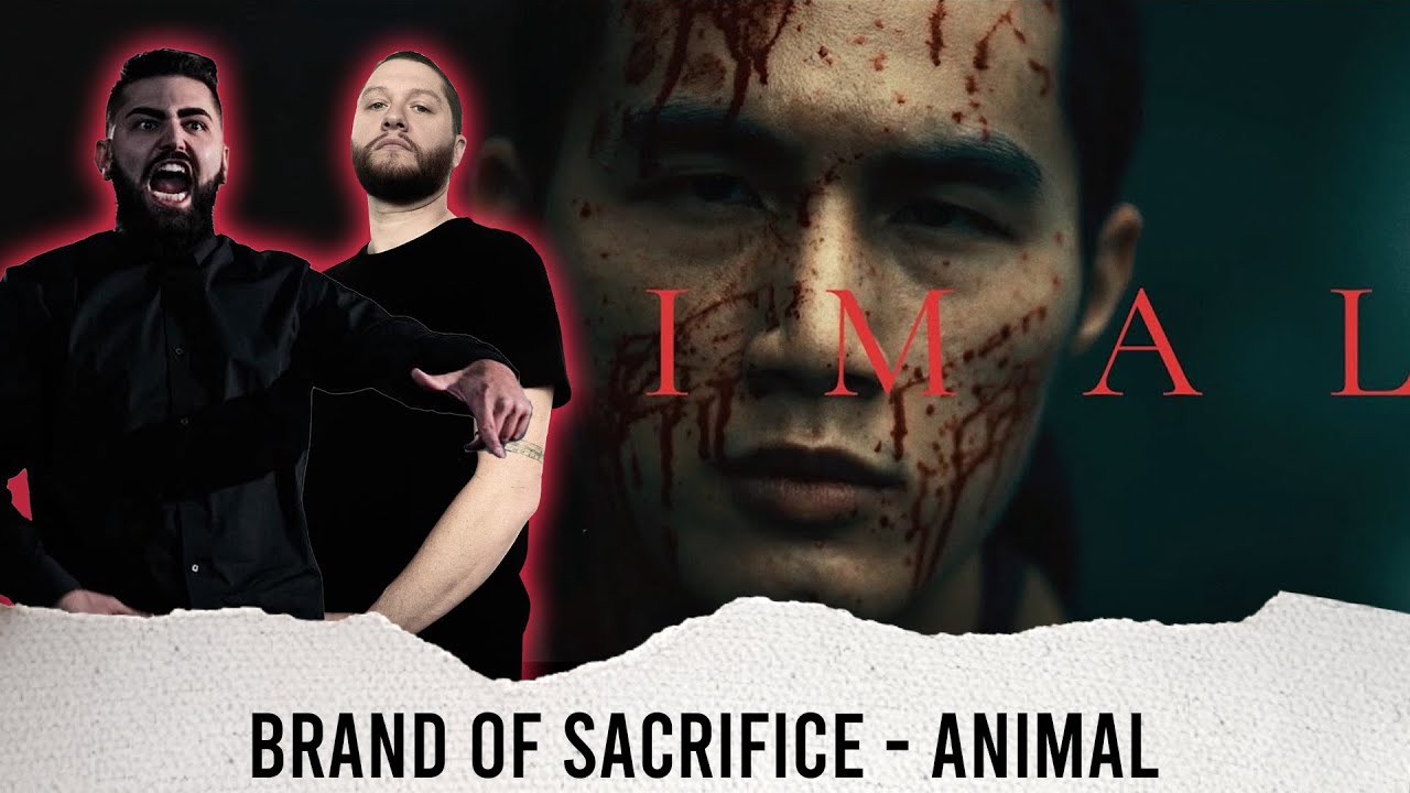 METALCORE BAND REACTS - BRAND OF SACRIFICE "ANIMAL" - REACTION / REVIEW