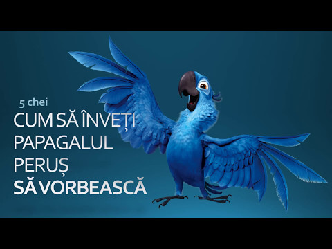 Video: Cum Să înveți Un Papagal Să Vorbească Cuvinte și Propoziții Individuale