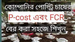 কোম্পানির পোল্ট্রি চাষের FCR এবং P-cost নিজেই বের করুন।How to calculate FCR and P-cost l