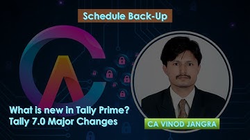 Tally Prime Auto Backup: What
