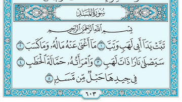 سورة المسد الشيخ /محمد البراك