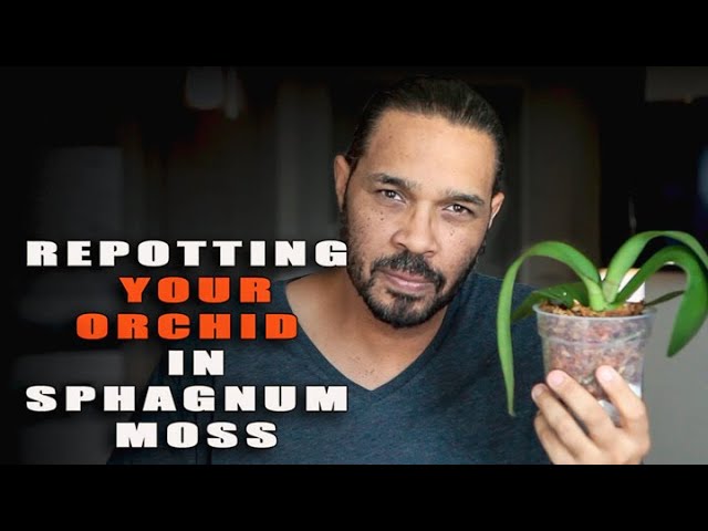 The science behind How I Water Orchids potted in Sphagnum Moss (Seminar) 