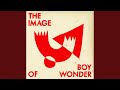 The image of boy wonder