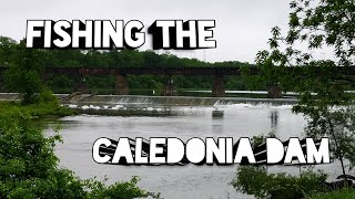 Walleye Fishing The Caledonia Dam 2021 (Grand River)