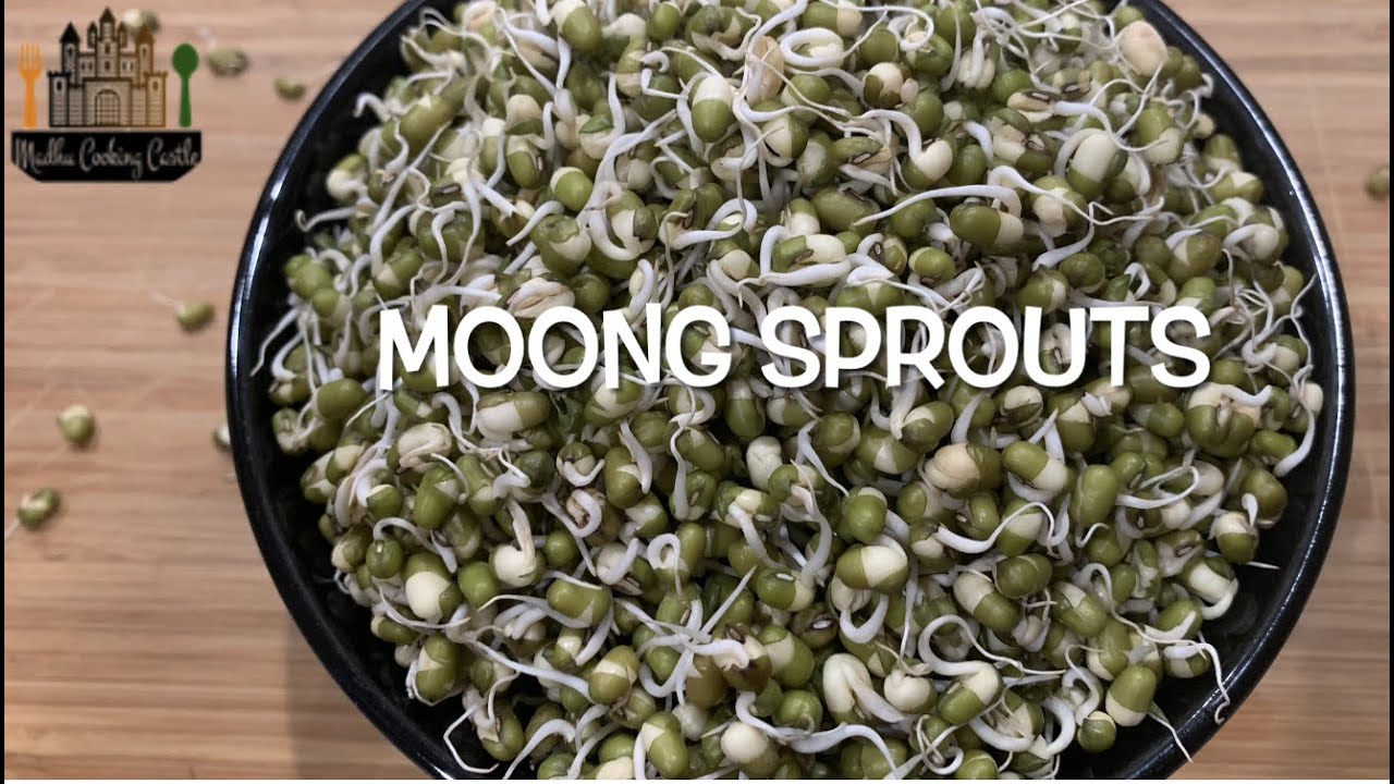 How to make Sprouts Simple Sprouts Recipe Healthy diet Moong