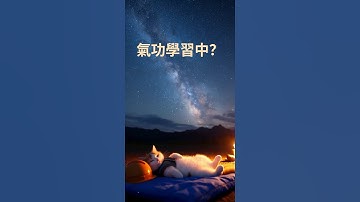 貓打翻杯子困住老鼠？E27 貓學習氣功過程？ #Cat 