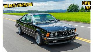 The Rare Sharknose, 1987 BMW M6