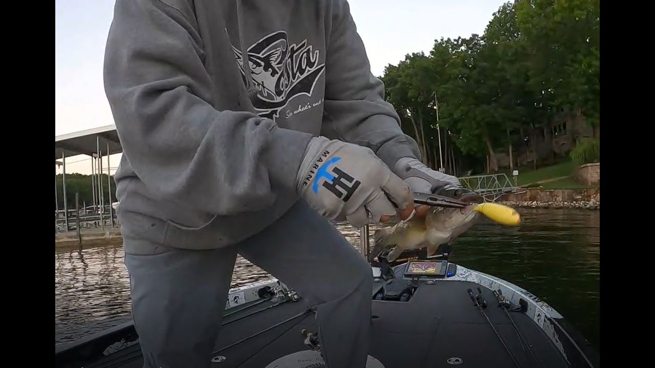Lake Ozark Bass Fishing 18 August 2020 YouTube