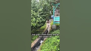 Do you explain this #update #shorts #shortvideo #fun #funny #nature