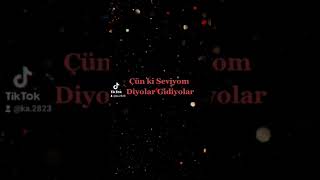 Sevgi Nasıl Bişey Tiktok Ka2823 Ka.2823