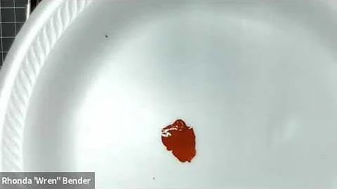 Painting Scales - Rhonda Wren Bender - Paint Along