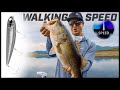 Topwater Walking Baits | How Speed Triggers Bass