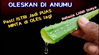 RAHASIA KHASIAT LIDAH BUAYA‼️ TERNYATA ISTRI JADI SANGAT PUAS