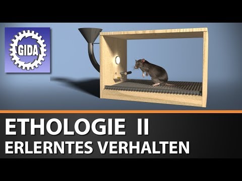 Trailer - Ethologie